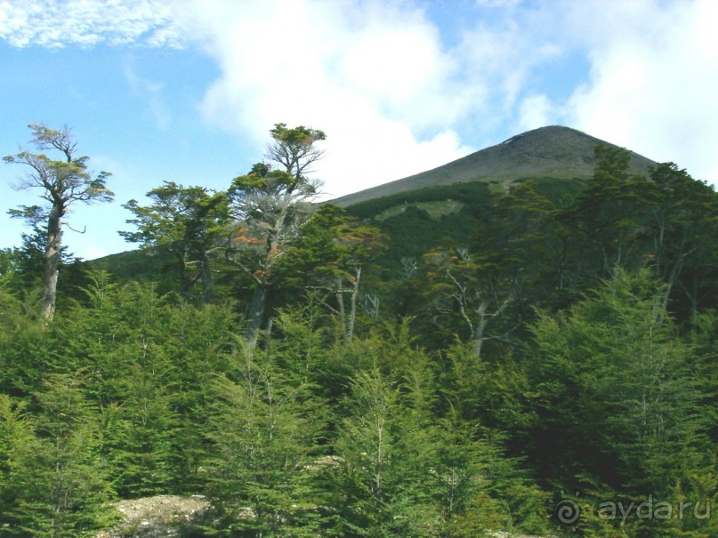 Берега Южного океана