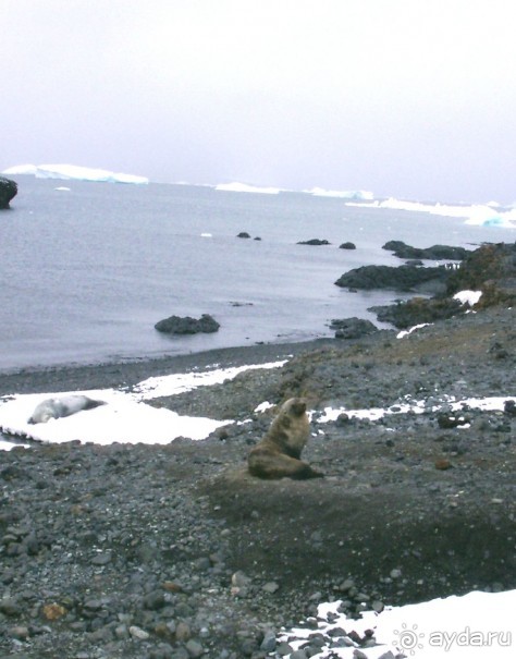 Берега Южного океана