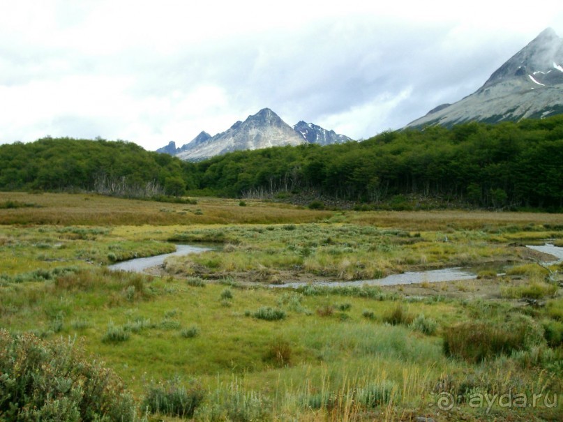 Берега Южного океана