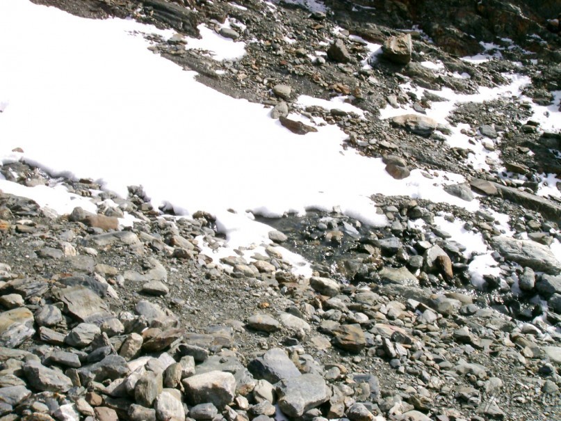 Берега Южного океана