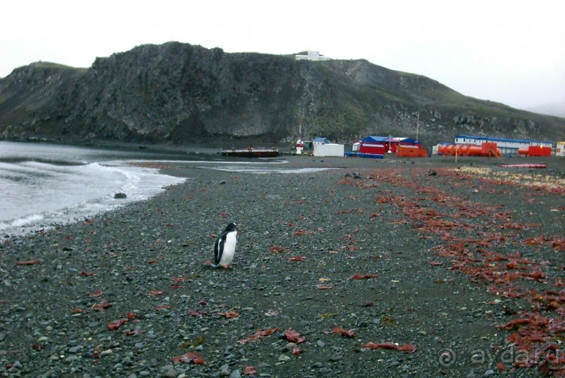 Берега Южного океана