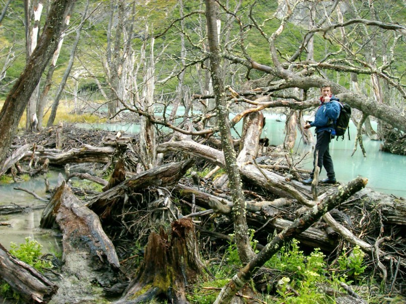 Берега Южного океана