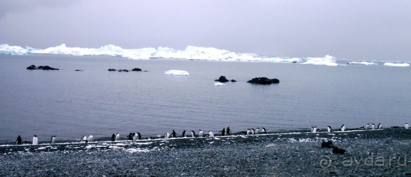 Берега Южного океана