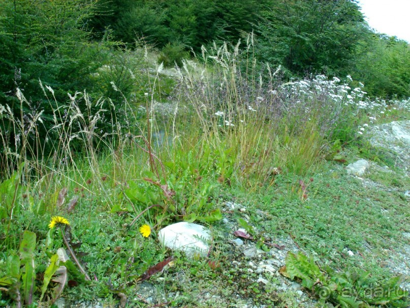 Берега Южного океана