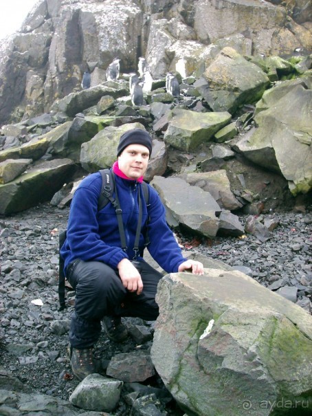 Берега Южного океана