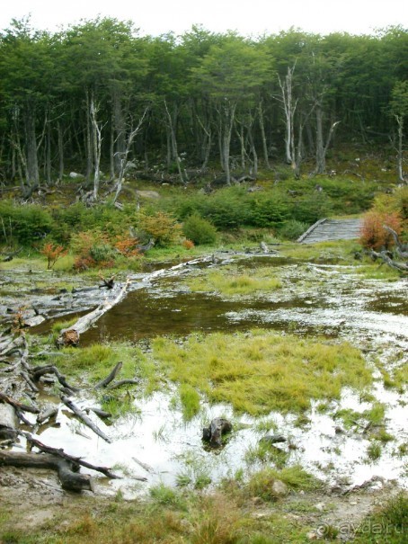 Берега Южного океана