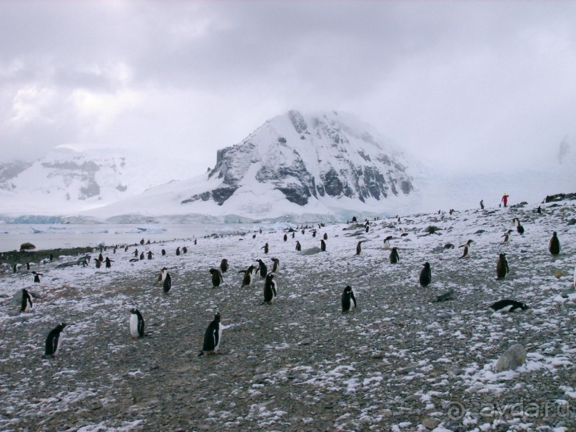 Берега Южного океана