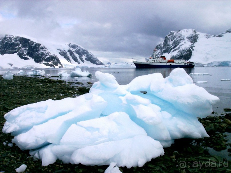 Берега Южного океана