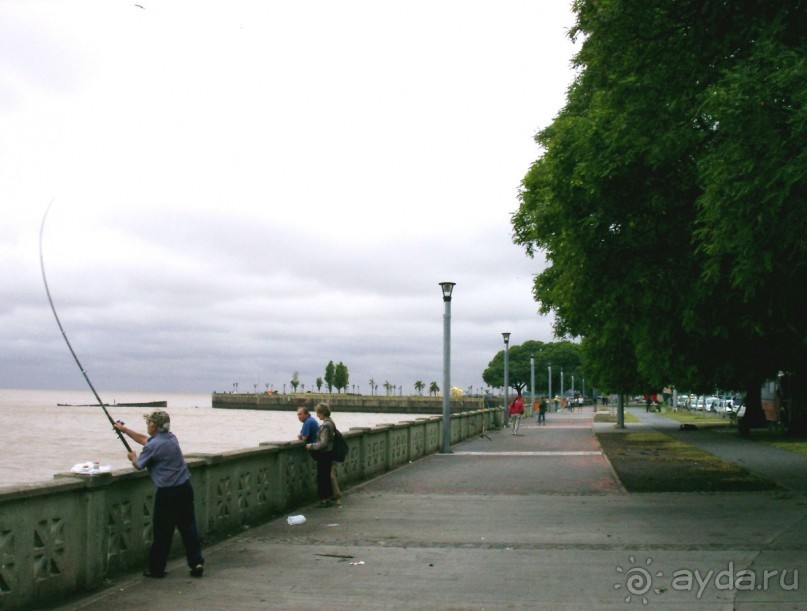 Берега Южного океана