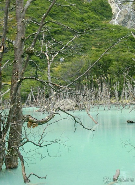 Берега Южного океана