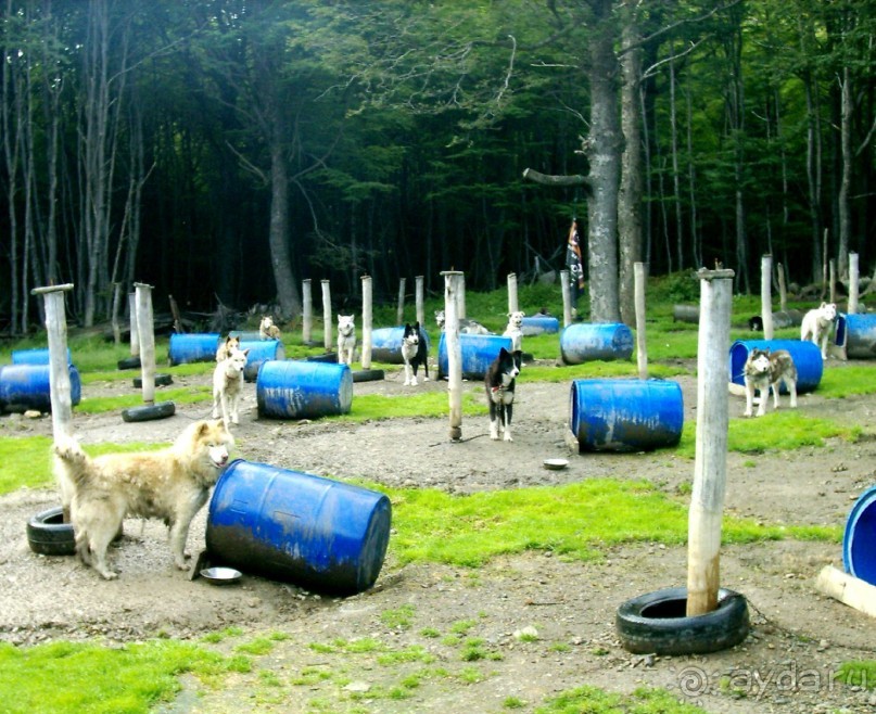 Берега Южного океана