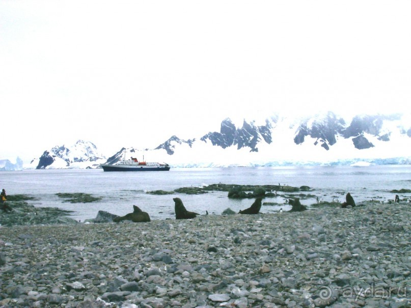 Берега Южного океана