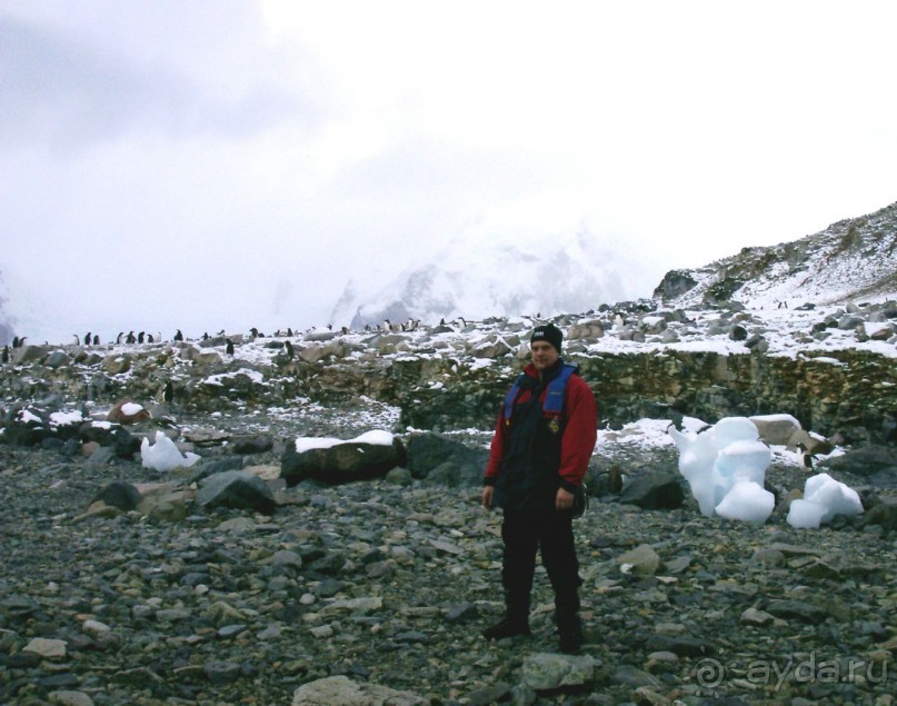 Берега Южного океана