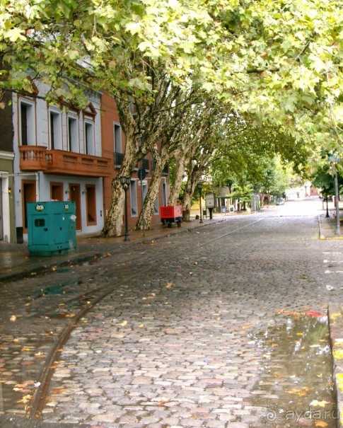 Берега Южного океана