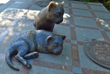 Владивосток-2014