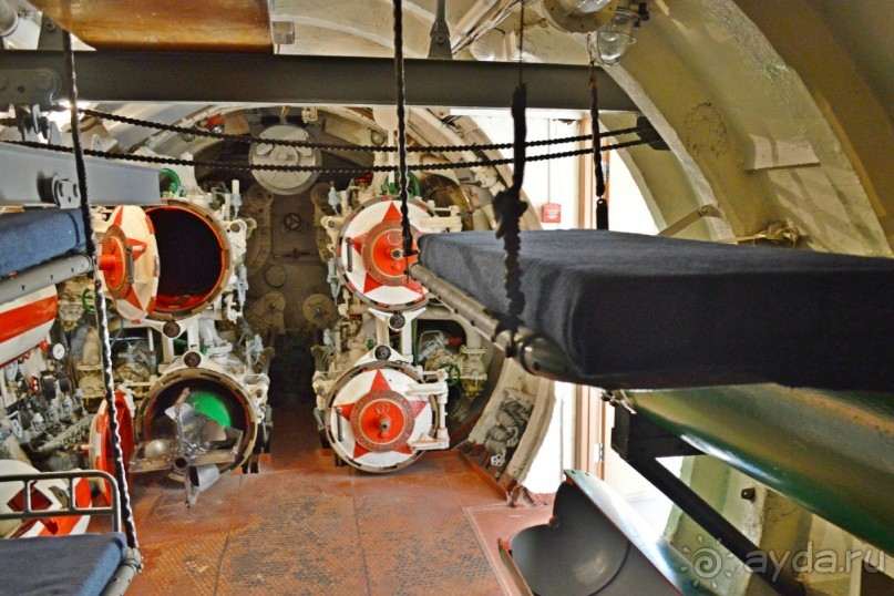 Владивосток-2014