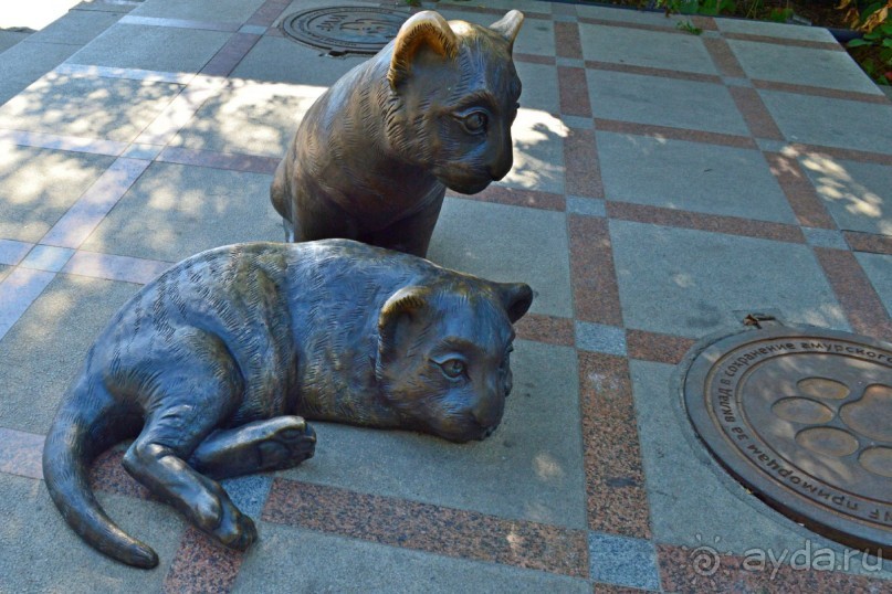 Владивосток-2014