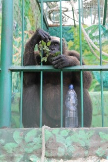 Геленджик-2012