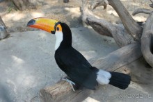 Геленджик-2012