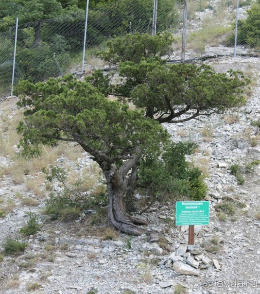 Геленджик-2012