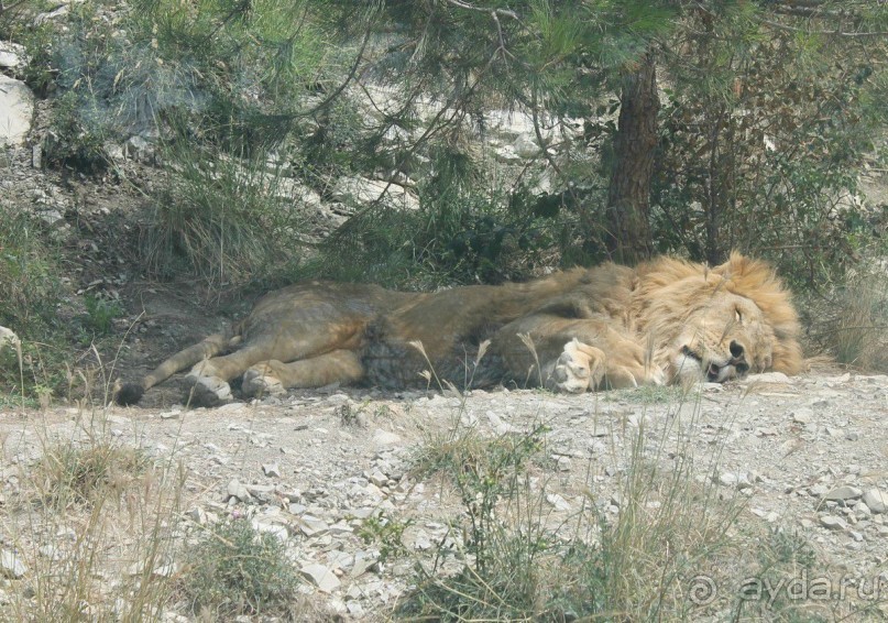 Геленджик-2012