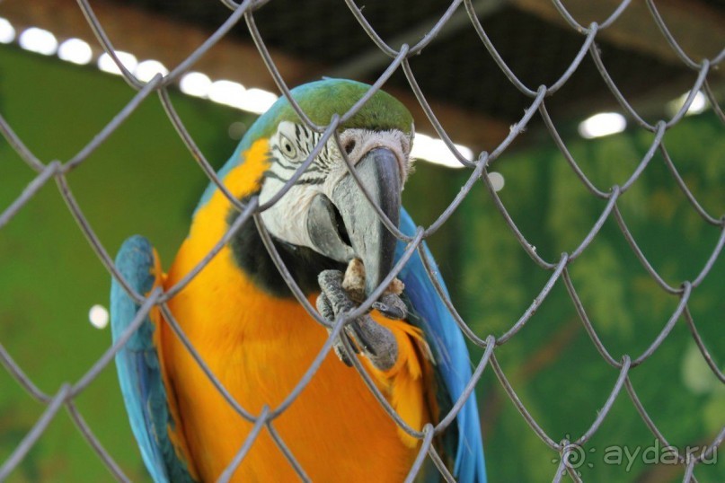 Геленджик-2012