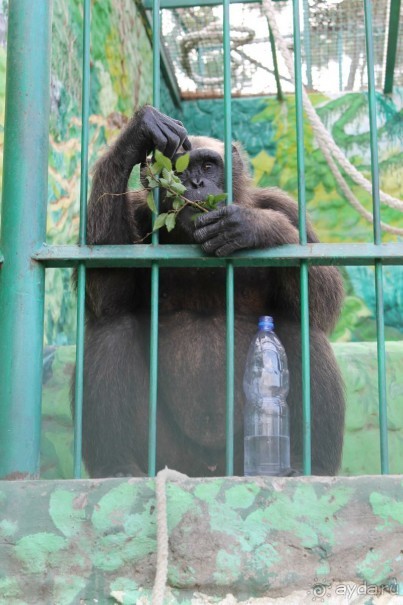 Геленджик-2012