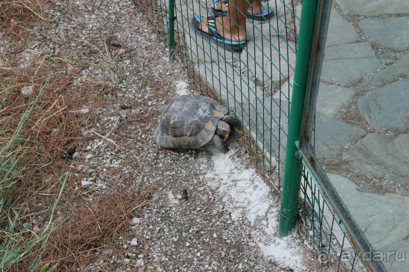 Геленджик-2012