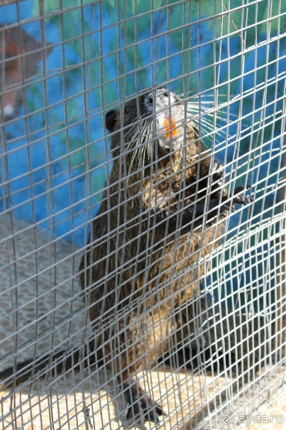 Геленджик-2012