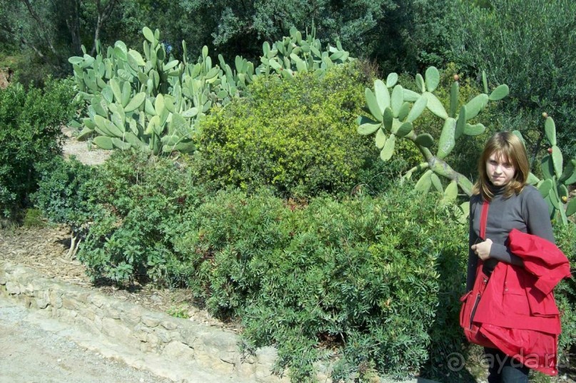 Каталонские  записки