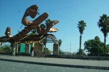 Каталонские  записки