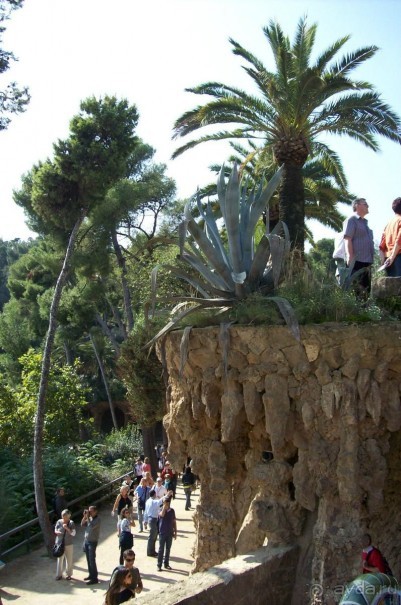 Каталонские  записки