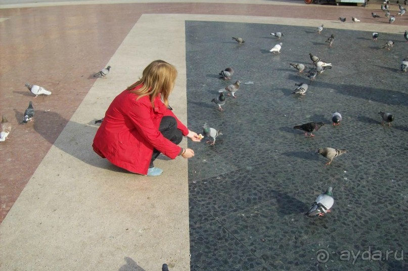 Каталонские  записки