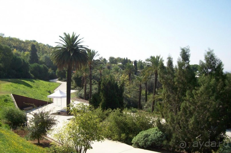 Каталонские  записки