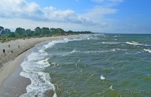 На янтарном побережье