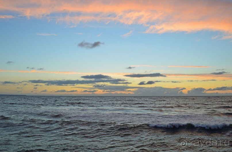 На янтарном побережье