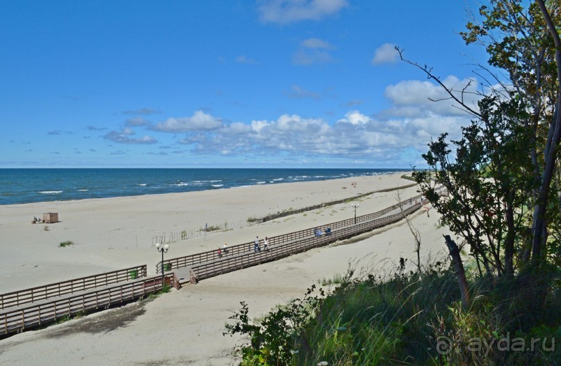 На янтарном побережье