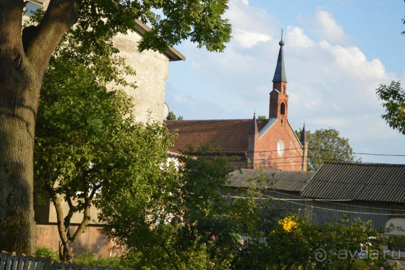 На янтарном побережье