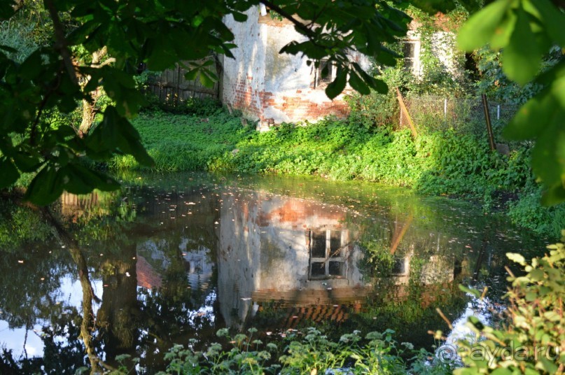 На янтарном побережье