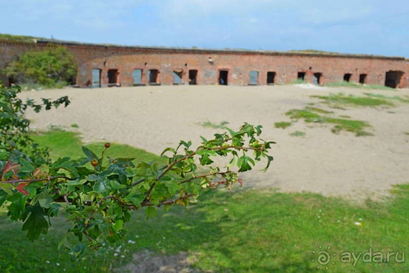 На янтарном побережье