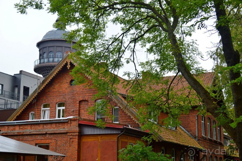 На янтарном побережье