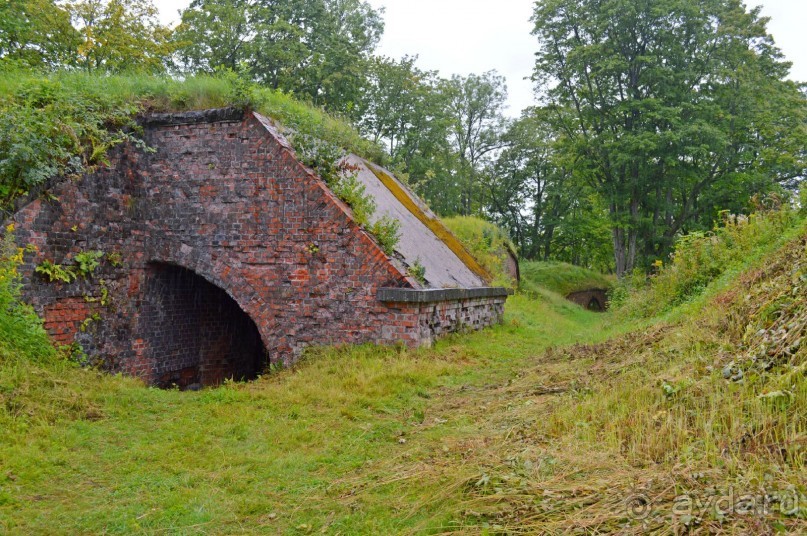 На янтарном побережье