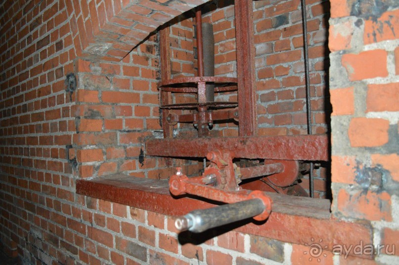 На янтарном побережье