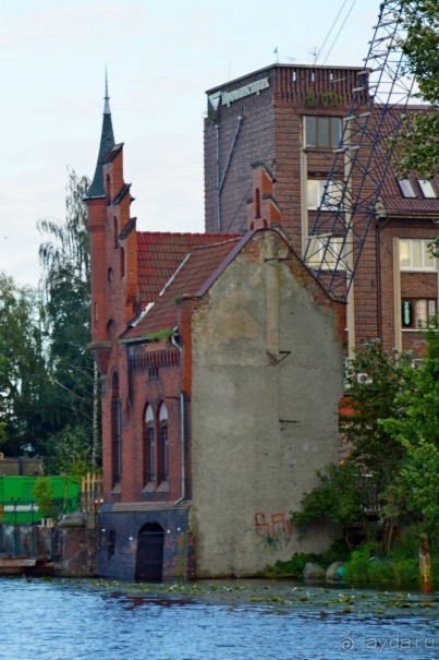 На янтарном побережье