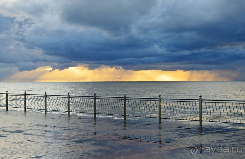 На янтарном побережье