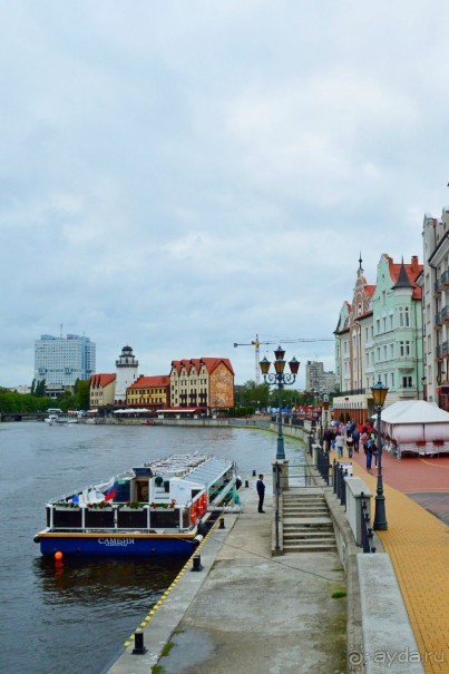 На янтарном побережье