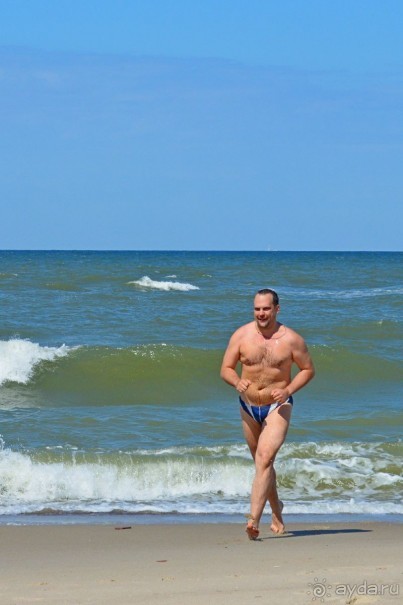 На янтарном побережье