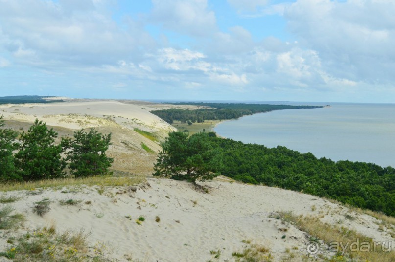 На янтарном побережье