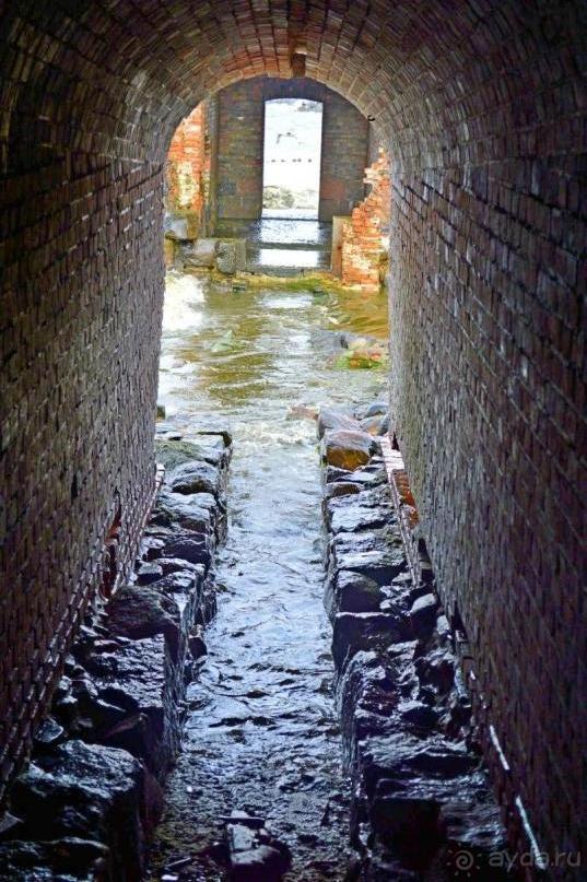 На янтарном побережье