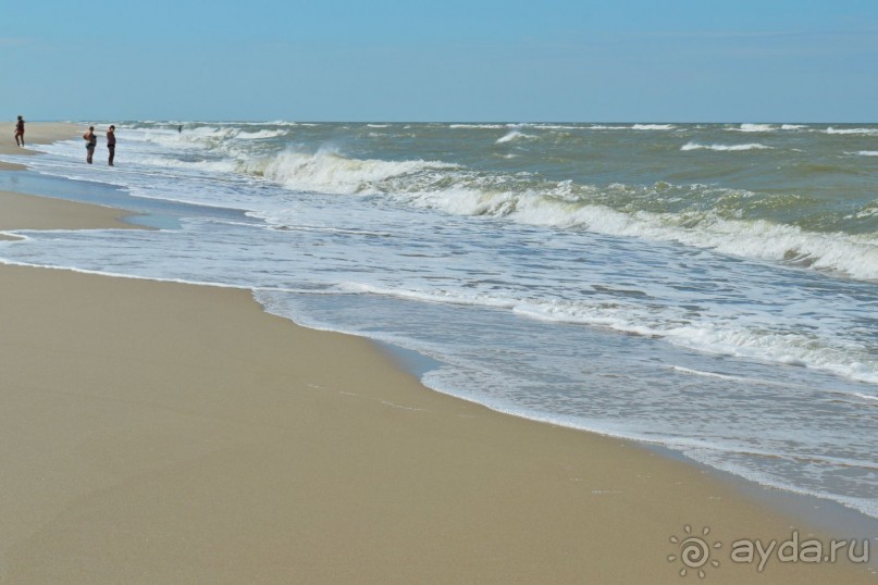 На янтарном побережье